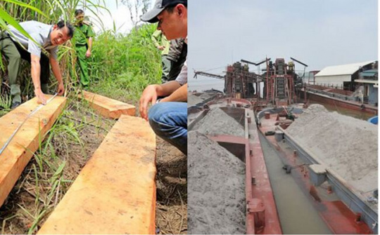 Xử lý nghiêm tình trạng phá rừng, khai thác cát, sỏi trái phép