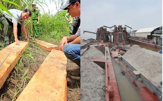 Xử lý nghiêm tình trạng phá rừng, khai thác cát, sỏi trái phép