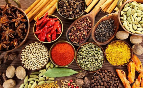 Bí quyết điều trị xuất tinh sớm theo phương pháp đông y thảo dược gia truyền