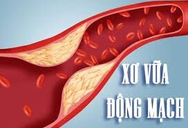 Người thông thái sẽ tự bảo vệ sức khỏe