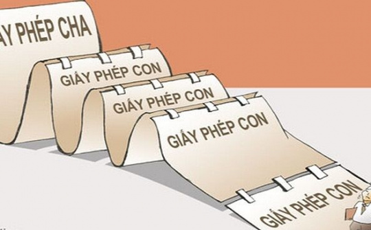 Cần kiên quyết trong loại bỏ “GIấY PHÉP CON”