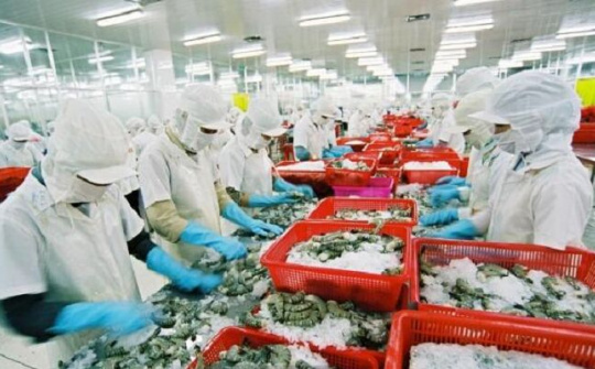 Cần nhiều giải pháp 'gỡ khó' cho xuất khẩu thủy sản