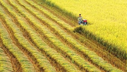 Tăng cường hợp tác bảo đảm an ninh lương thực trong APEC