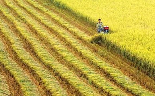 Tăng cường hợp tác bảo đảm an ninh lương thực trong APEC