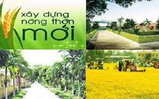 Xây dựng Nông thôn mới kiểu mẫu  vẫn cần thêm nguồn lực