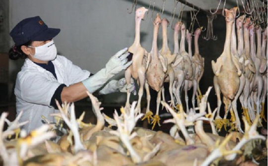 Chưa chặt chẽ, nhiều vướng mắc