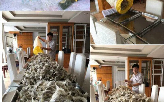 Hai vai mang nặng tình đời