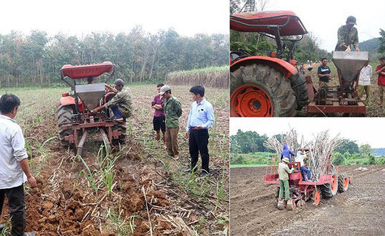 Công ty CP Mía đường sông Con: Chính sách thúc đẩy phát triển sản xuất