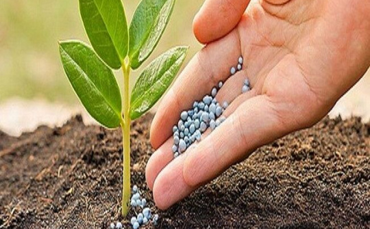 Phạt đến 200 triệu đồng đối với hành vi vi phạm hành chính trong lĩnh vực phân bón