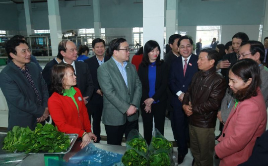 Bí thư Hoàng Trung Hải: Phát triển nông nghiệp Thủ đô bền vững, không còn manh mún, nhỏ lẻ