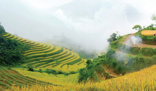 Phát triển bền vững vùng Tây Bắc