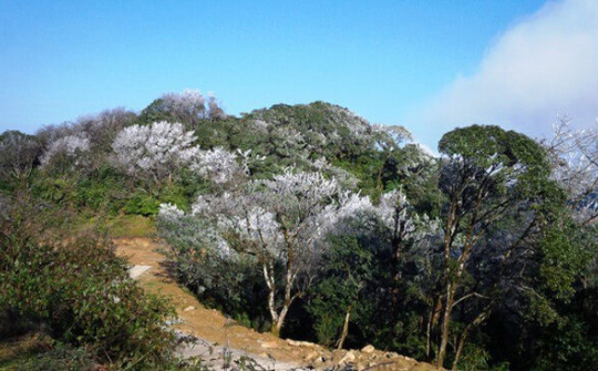 Thành lập Vườn quốc gia Phia Oắc - Phia Đén