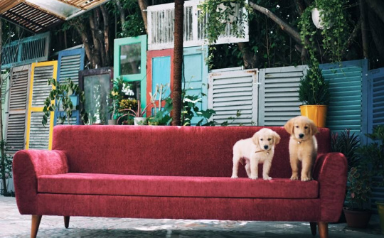 Liêu xiêu vì độ đáng yêu của các homestay Nha Trang