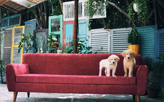 Liêu xiêu vì độ đáng yêu của các homestay Nha Trang