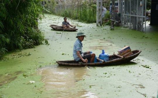 Cần giải pháp lâu dài cho vùng ngập