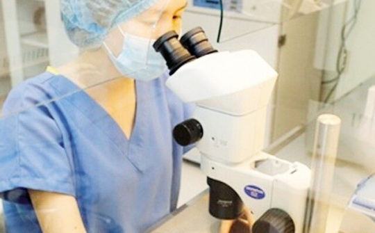 Đông lạnh trứng – Giải pháp cho những phụ nữ độc lập