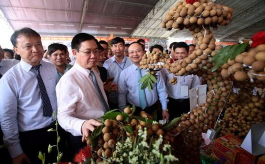 Phó Thủ tướng Vương Đình Huệ dự Hội nghị xúc tiến thương mại nhãn lồng và nông sản 2018