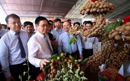 Phó Thủ tướng Vương Đình Huệ dự Hội nghị xúc tiến thương mại nhãn lồng và nông sản 2018