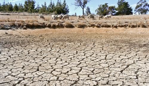 Australia chống chọi với hạn hán khắc nghiệt chưa từng thấy