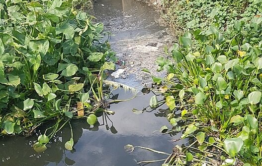 UBND xã Lạc Đạo bất lực để Cty Sơn Tùng ngày đêm “tra tấn” môi trường