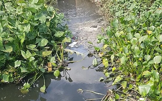 UBND xã Lạc Đạo bất lực để Cty Sơn Tùng ngày đêm “tra tấn” môi trường