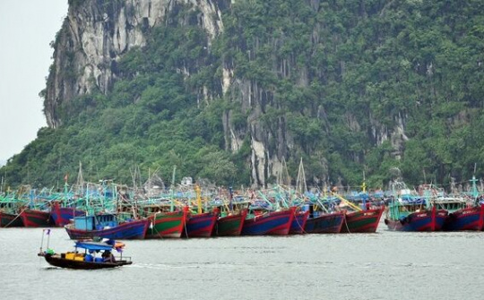 Quảng Ninh kiên quyết không để người dân ở lại tàu thuyền, lồng bè khi bão đổ bộ