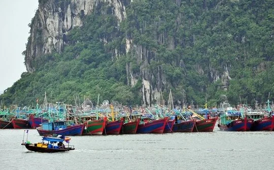 Quảng Ninh kiên quyết không để người dân ở lại tàu thuyền, lồng bè khi bão đổ bộ