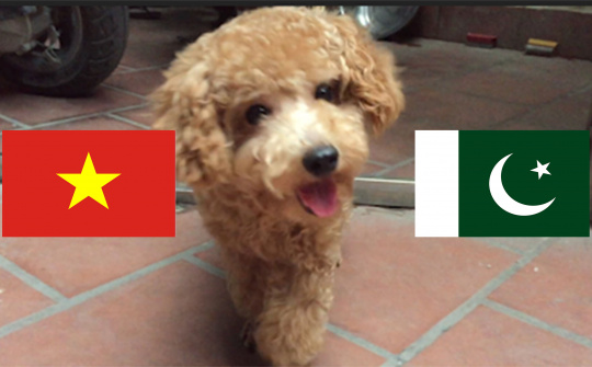 Các ‘nhà tiên tri’ dự đoán kết quả của đội tuyển Olympic Việt Nam tại vòng bảng Asiad 2018