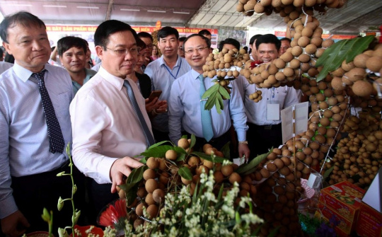 Hung Yen needs to reasonably zone for longan: Deputy PM