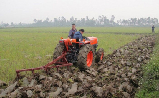 Tiếp tục rà soát, đánh giá những bất cập liên quan đến tích tụ đất đai