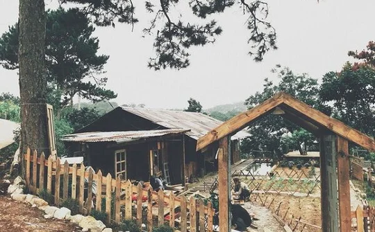 Ngỡ ngàng ngôi nhà ngập rác biến thành homestay lãng mạn ở Đà Lạt