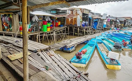 Bất an sạt lở đất bờ sông ở Cà Mau