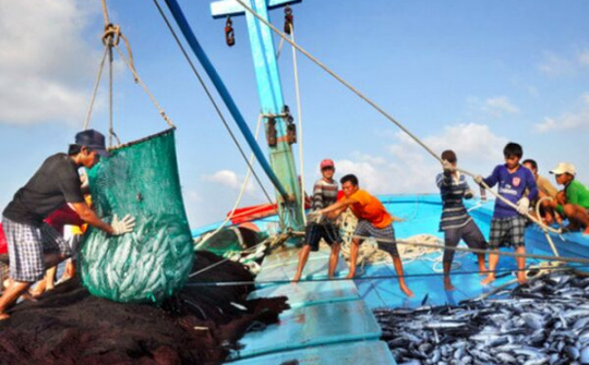 Chấn chỉnh lại hoạt động khai thác hải sản