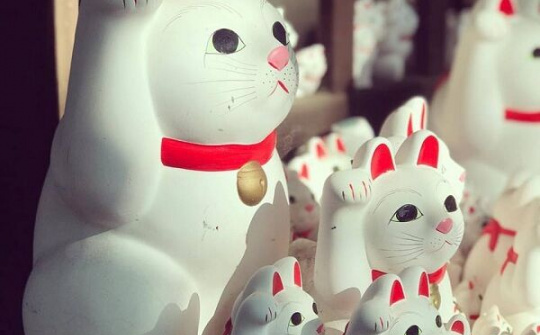 Ngôi đền của '10.000 chú mèo may mắn' tại Tokyo