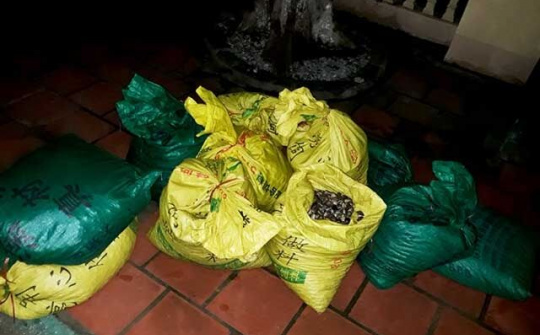 Liên tiếp bắt giữ nhiều vụ khai thác thủy sản trái phép tại Quảng Ninh