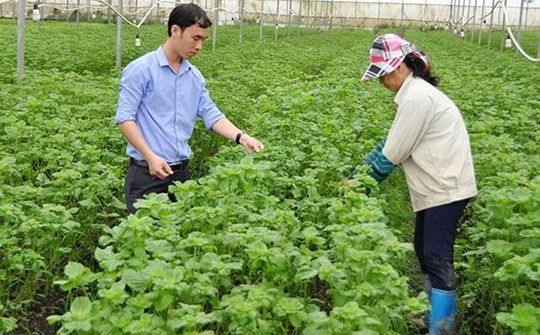 Bắc Ninh: Phát triển trang trại nông nghiệp công nghệ cao