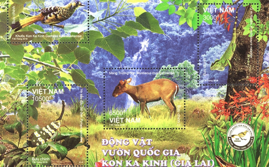 New stamp issued featuring animals at Kon Ka Kinh National Park