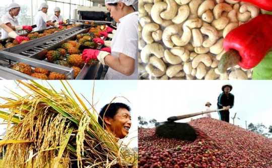 Hướng tới xây dựng và bảo vệ thương hiệu nông sản Việt