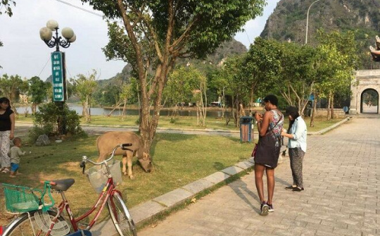 Startup Việt kết nối hành trình du lịch với người bản địa