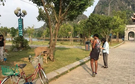 Startup Việt kết nối hành trình du lịch với người bản địa