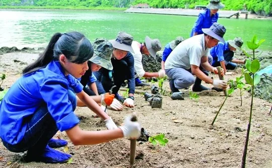 Thủ tướng Chính phủ ra quyết định: Phân bổ vốn ứng phó với biến đổi khí hậu và tăng trưởng xanh
