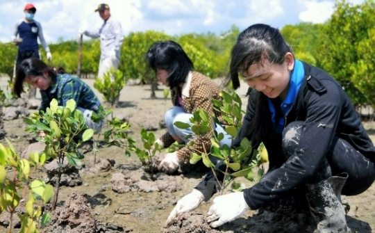 VND61 billion allocated to climate change response and green growth