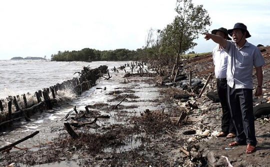 Giải pháp cứu 'vựa lúa'