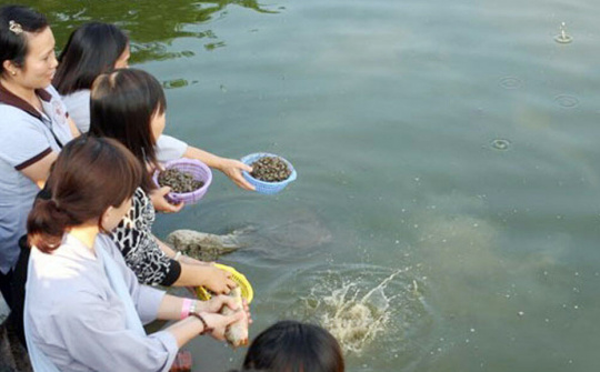 Lặng ngẫm về mùa Vu Lan