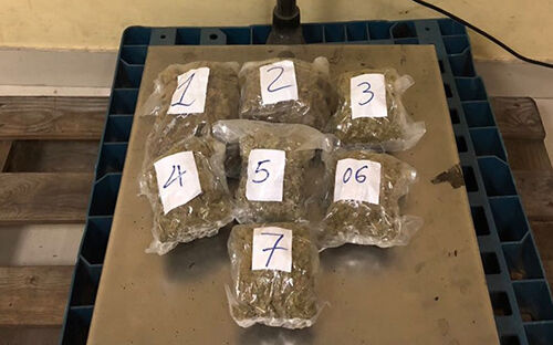 Hải quan Tân Sơn Nhất bắt giữ 57 kg cần sa vận chuyển từ Mỹ về Việt Nam