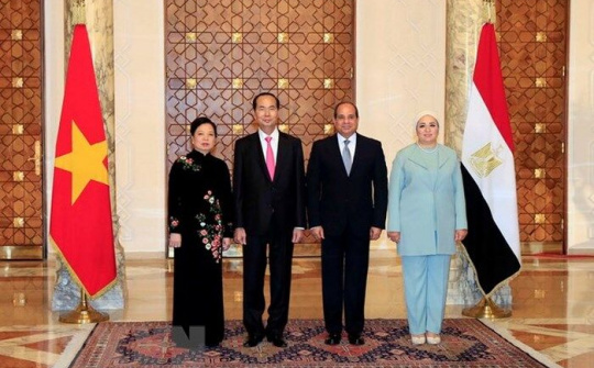 Chủ tịch nước Trần Đại Quang hội đàm, hội kiến với các nhà lãnh đạo Ai Cập