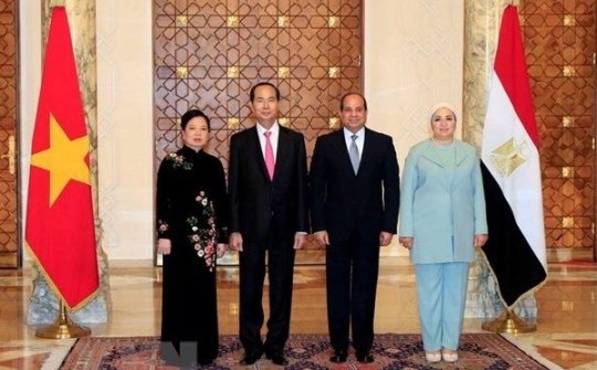 President Tran Dai Quang holds talks with Egyptian counterpart