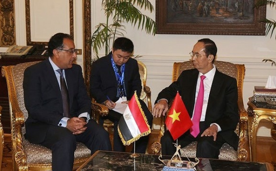 Vietnam, Egypt should bolster trade promotion: President
