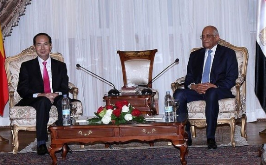 President: Vietnam maintains friendship with Egypt via different channels