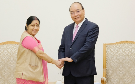 Plenty of room for expanding Vietnam – India ties: PM